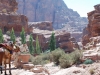 i colori di Petra